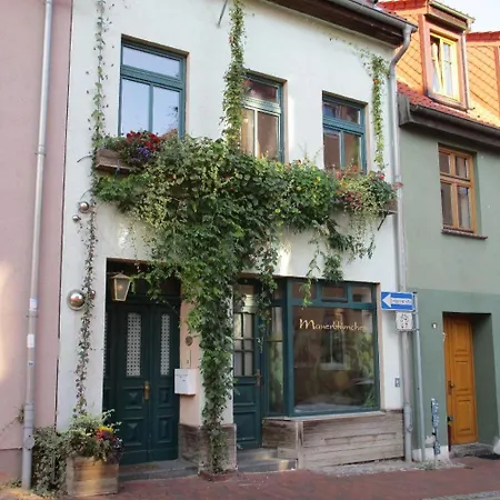 Ferienwohnung-im-mauerbluemchen *